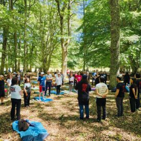 WhatsApp Image 2026-06-22 at 10.06.03